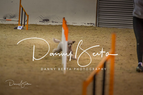 DAN_1569