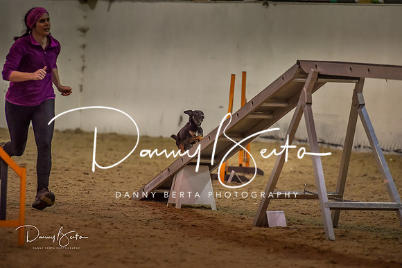 DAN_1582