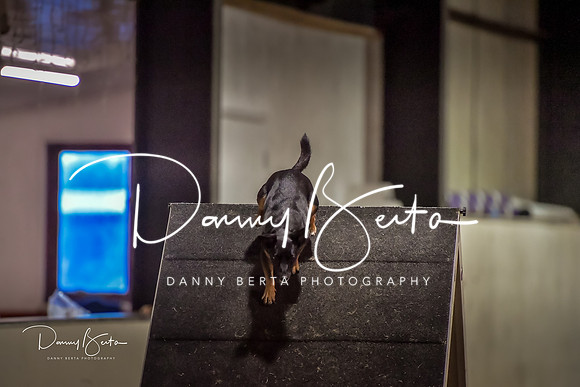 DAN_1596