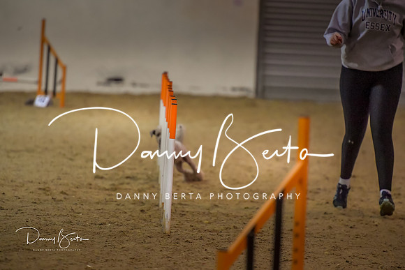 DAN_1568