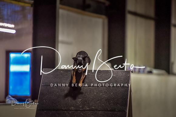 DAN_1595