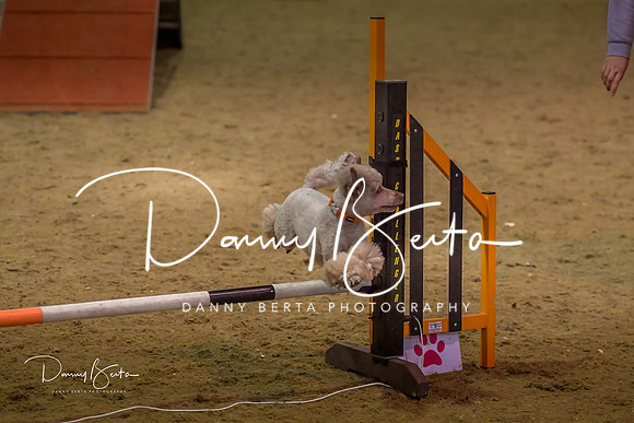 DAN_1581