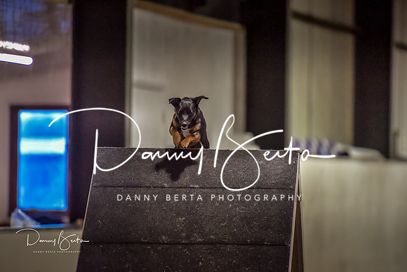 DAN_1594