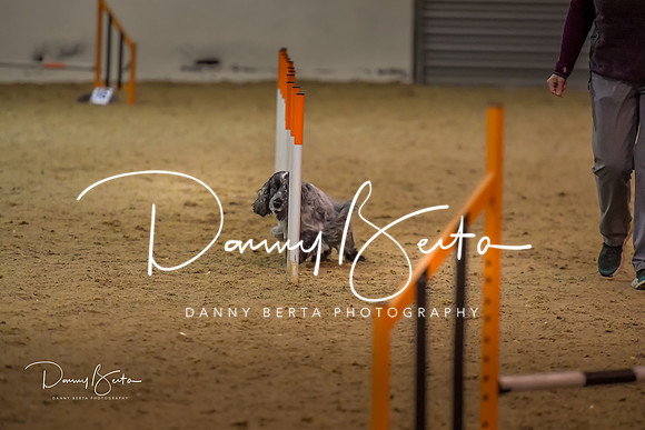 DAN_1547