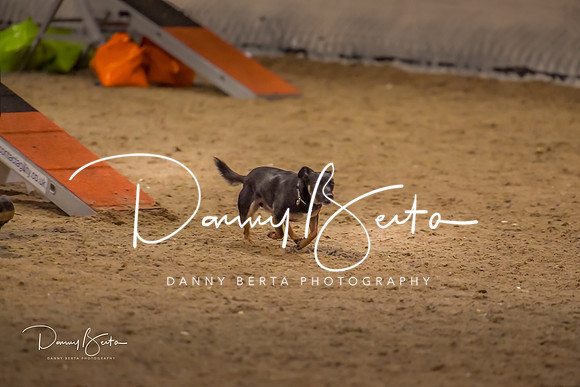 DAN_1590