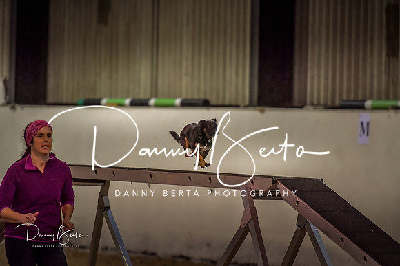 DAN_1584
