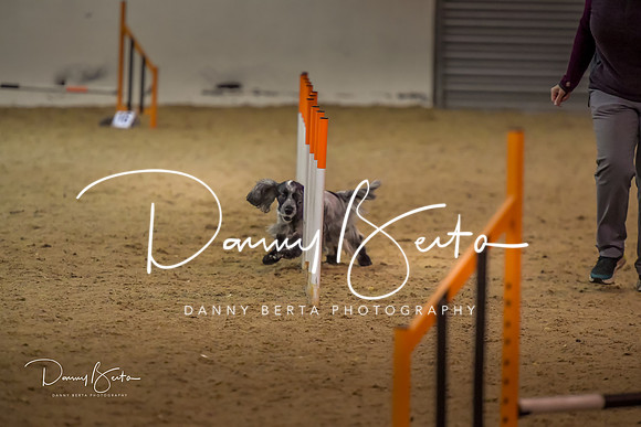 DAN_1546