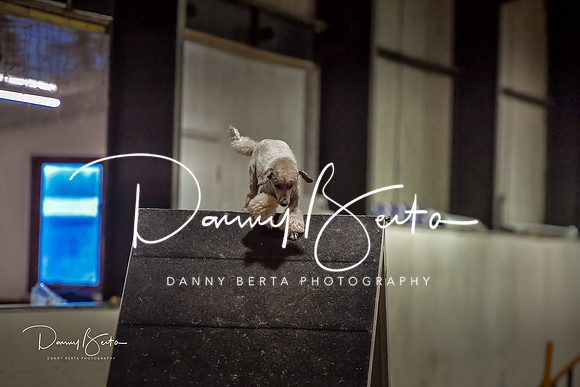 DAN_1578