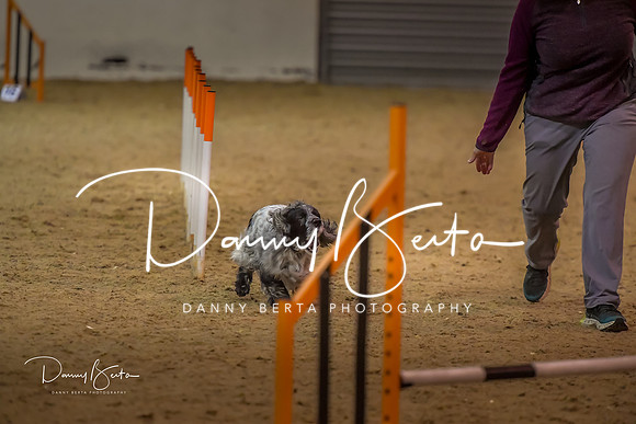 DAN_1550