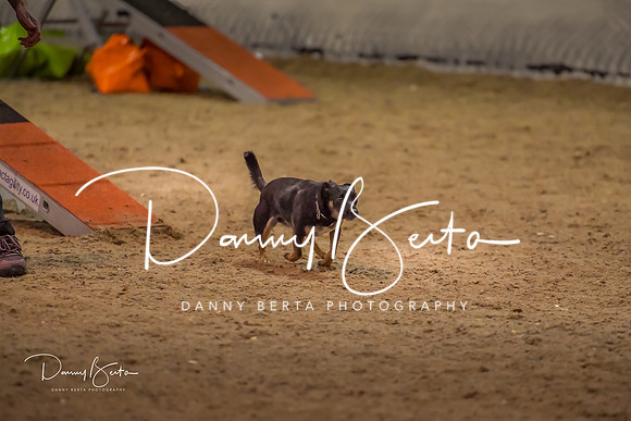DAN_1587