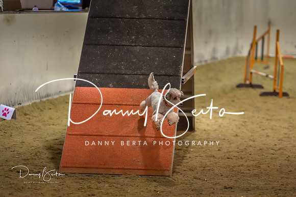DAN_1579
