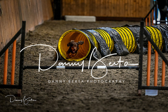 DAN_1801