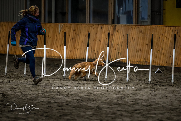 DAN_1806