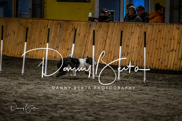 DAN_2062