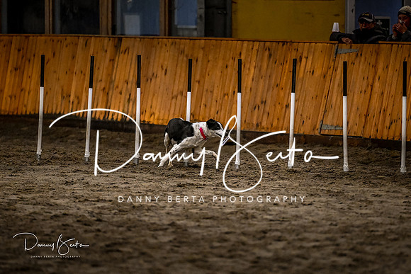 DAN_2014