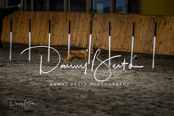 DAN_1819