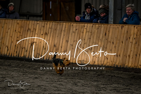 DAN_1836