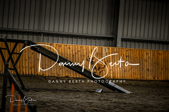 DAN_1377