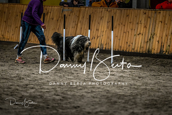 DAN_2028