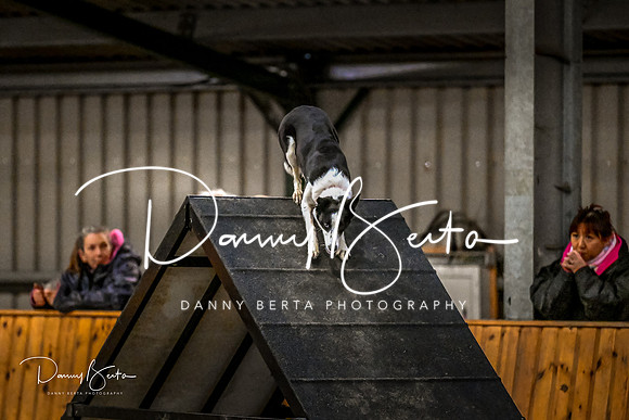 DAN_2018