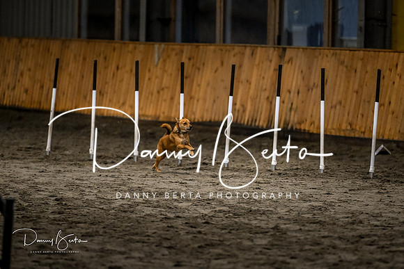 DAN_1816