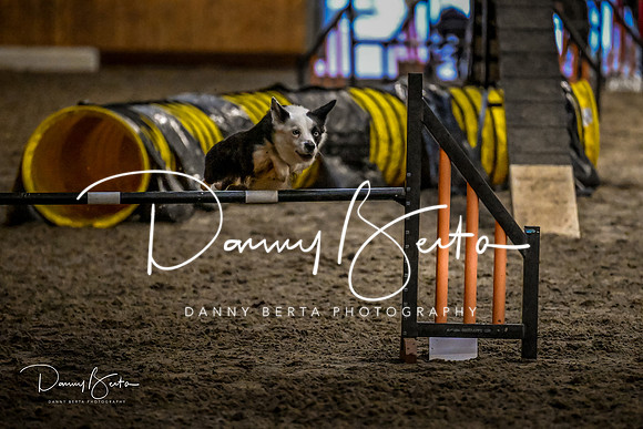 DAN_2076