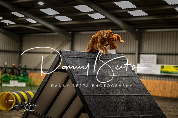 DAN_1427