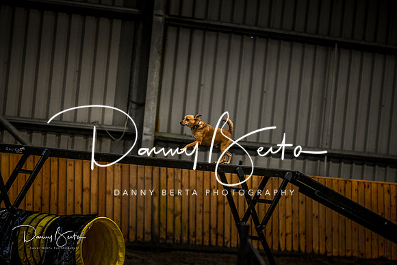 DAN_1378