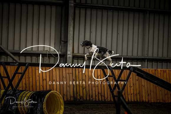 DAN_1401