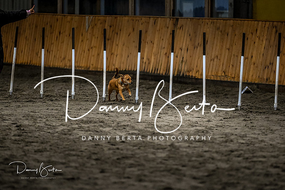 DAN_1818