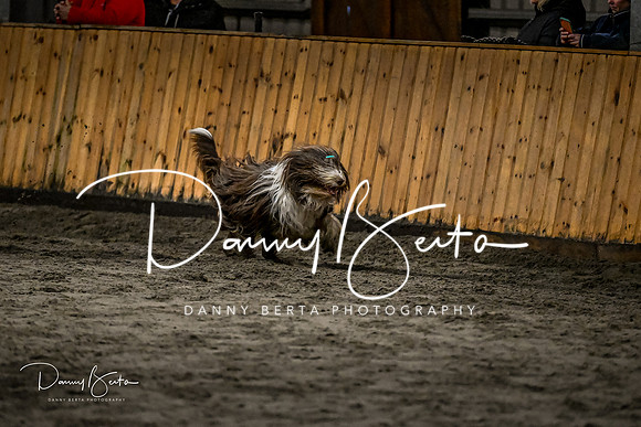 DAN_2081