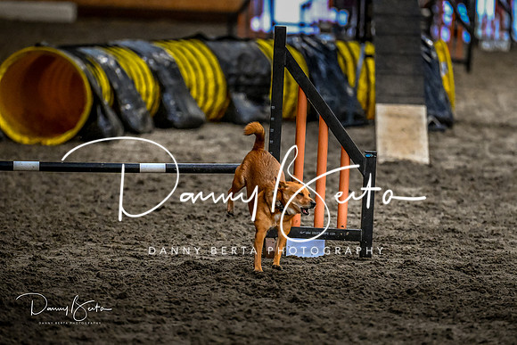 DAN_1830