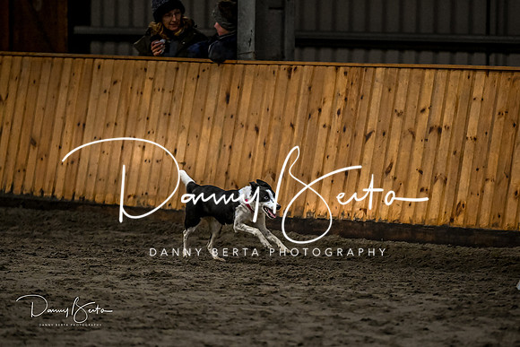 DAN_2012