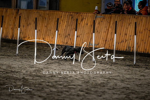 DAN_1786