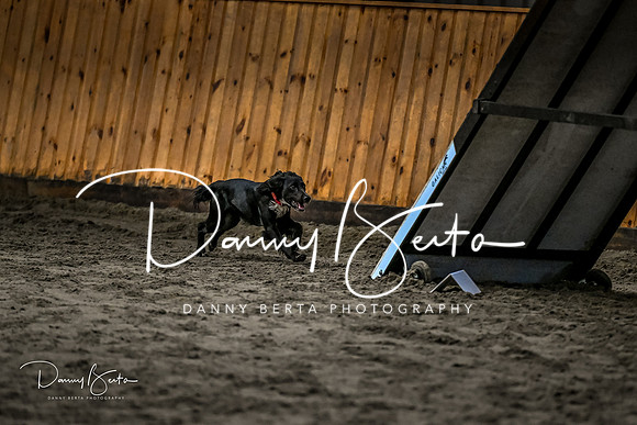 DAN_1787