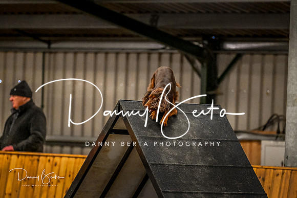 DAN_1799
