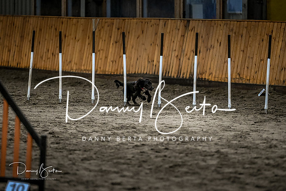 DAN_1778