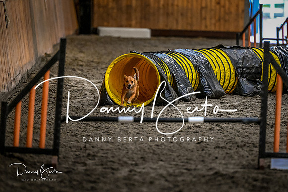 DAN_1827