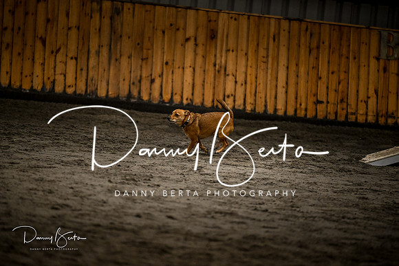 DAN_1380