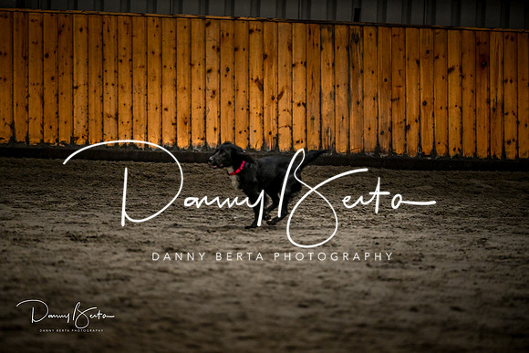 DAN_1392