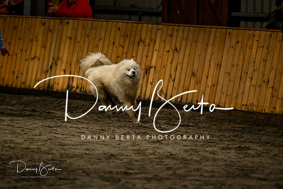 DAN_2056