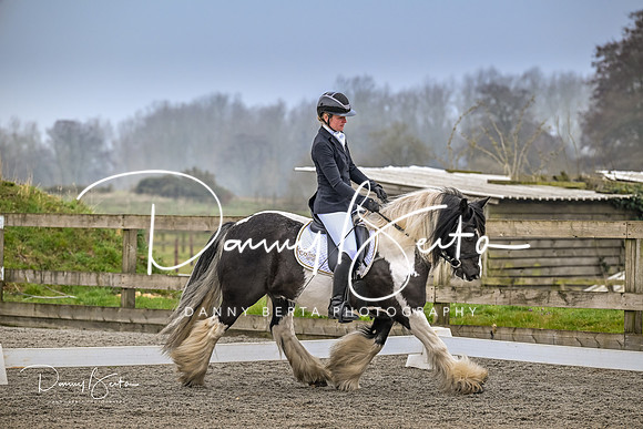 DAN_6545