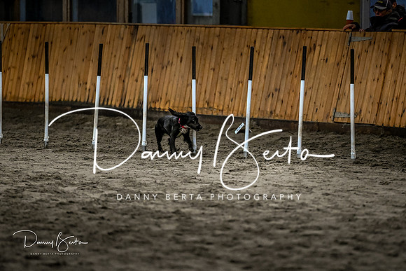 DAN_1780
