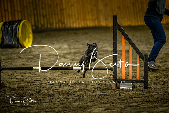 DAN_0785