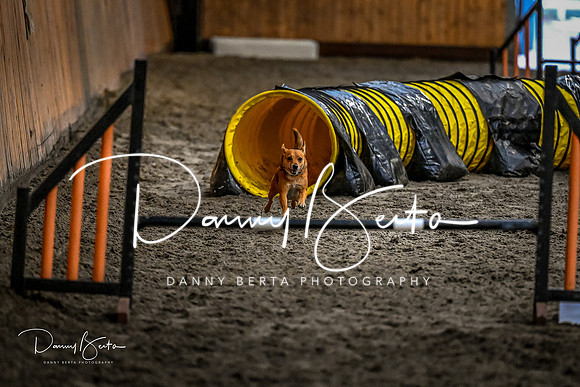 DAN_1828