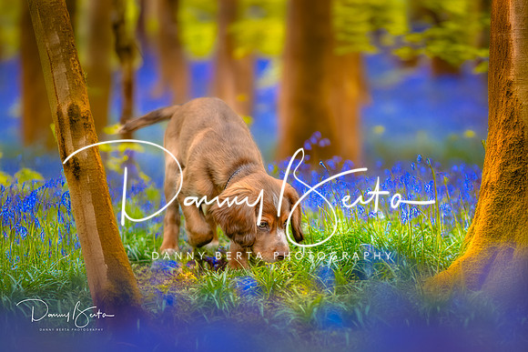DAN_2062-Edit