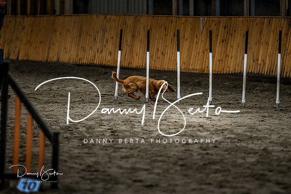 DAN_1804
