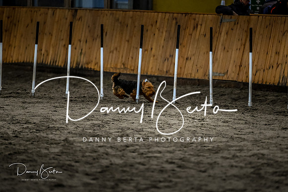 DAN_1835